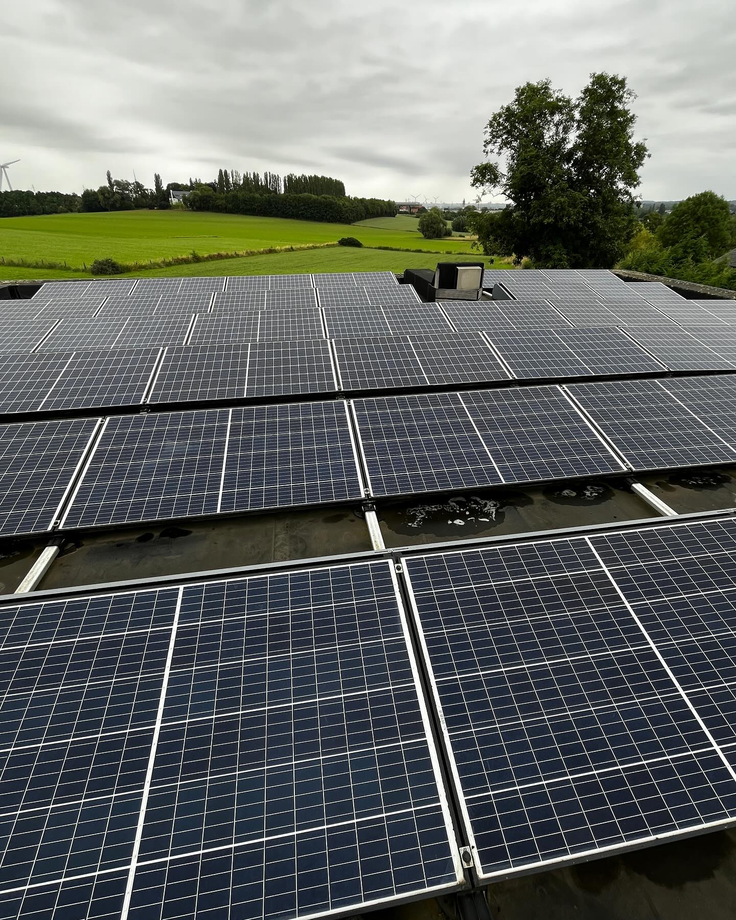 Reiniging van zonnepanelen